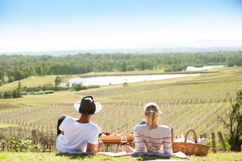 Audrey Wilkinson Vineyard - New Castle Holiday 0