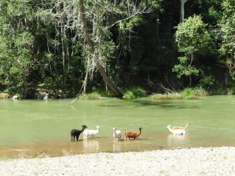 Avalon River Retreat - 400 Acre Riverside Oasis - New Castle Holiday 4