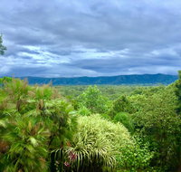 Daintree Manor BB - New Castle Holiday