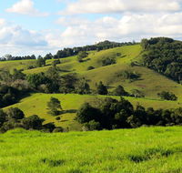 Maleny Springs Farm - New Castle Holiday