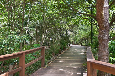 Beachcomber On The Spit - New Castle Holiday 7