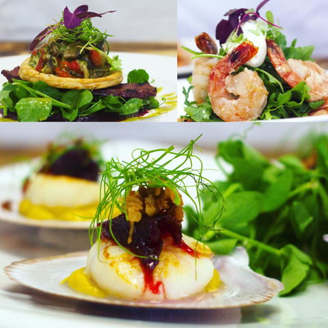 Roma Explorers Inn - New Castle Holiday 23