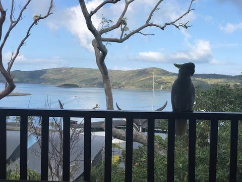 Casuarina Cove 18 - New Castle Holiday 9