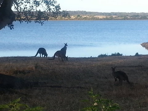 Ratcliff Cottage - New Castle Holiday 2