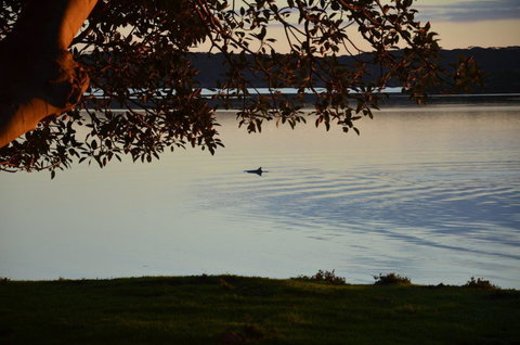 Ratcliff Cottage - New Castle Holiday 11