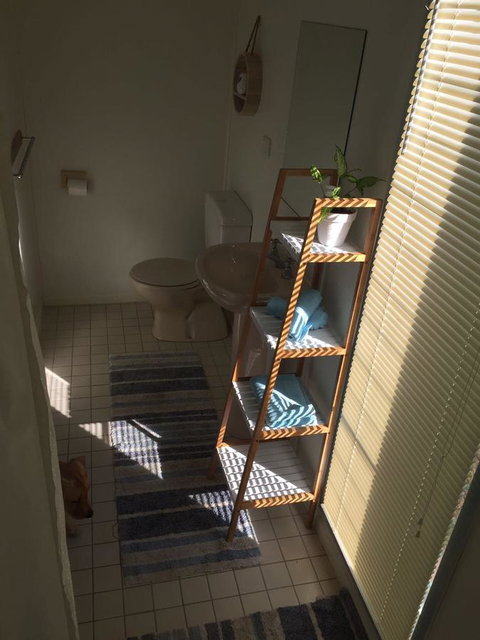 SEA-esta - New Castle Holiday 16