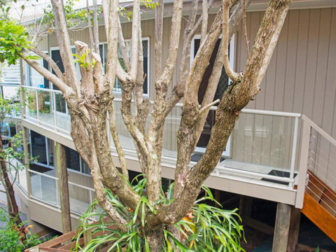 Sandcastles On Main - New Castle Holiday 8