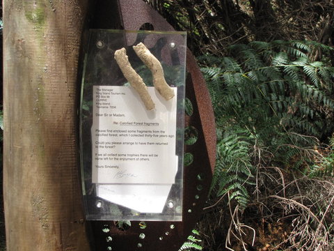 King Island Accommodation Cottages - New Castle Holiday 42