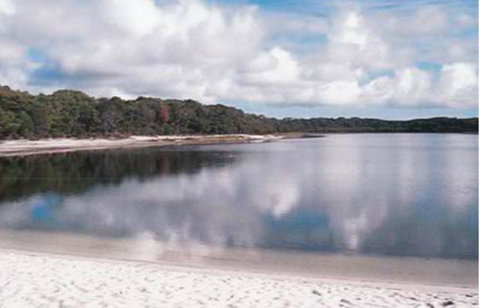 King Island Accommodation Cottages - New Castle Holiday 17