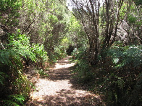 King Island Accommodation Cottages - New Castle Holiday 12