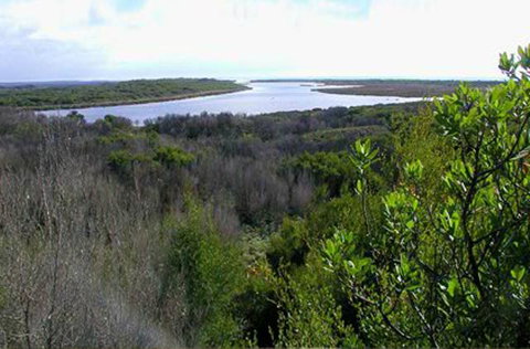 King Island Accommodation Cottages - New Castle Holiday 20