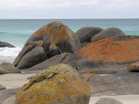 King Island Accommodation Cottages - New Castle Holiday 40