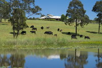 Book Nabiac Accommodation Vacations New Castle Holiday New Castle Holiday