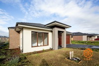 Book Cranbourne Accommodation Vacations New Castle Holiday New Castle Holiday
