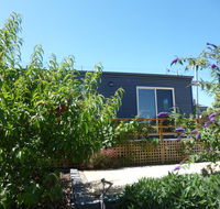 19 Blue - New Castle Holiday