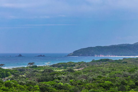 A SWEET ESCAPE - Above Byron - New Castle Holiday 0