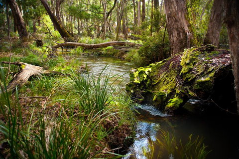 Ablac Studio - New Castle Holiday 1