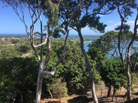 DRIFTWOOD- Hidden Gem, Great View In A Nature Setting - New Castle Holiday 2