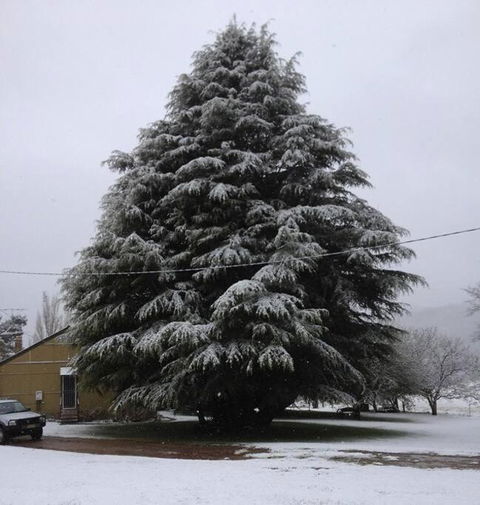 Duckmaloi Park Lodge - New Castle Holiday 3