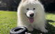 Dutchies Haven, 11 Christmas Bush Ave - Pet Friendly, Large Enclosed Yard, Air Con And Wi-Fi - thumb 3