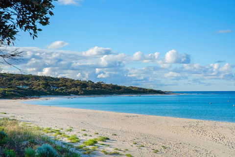 Eagle Bay Summerhaus - New Castle Holiday 1