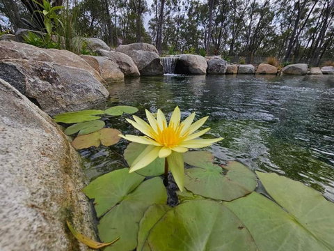 Eureka Station Camping Retreat - New Castle Holiday 4