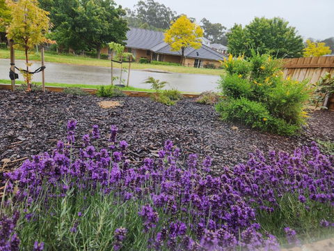 Getaway On Amaroo Way - New Castle Holiday 1