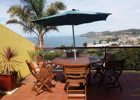 High On Penguin - New Castle Holiday 0