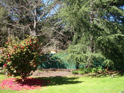 Ageri Holiday House - New Castle Holiday 1