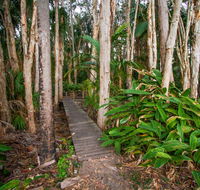 Agnes Palms Accommodation - New Castle Holiday