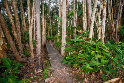 Agnes Palms Accommodation - New Castle Holiday 0