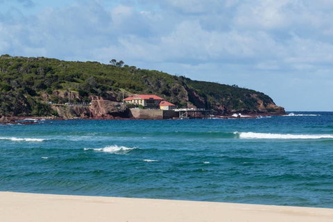 Albatross - Unit 6 - New Castle Holiday 2