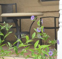 Amalie Cottage Waikerie - New Castle Holiday