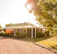 Among the Vines - New Castle Holiday