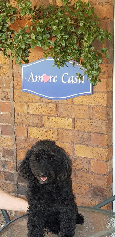 Amore Casa Tenterfield - New Castle Holiday 2