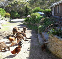 Anchorage Apartments - New Castle Holiday