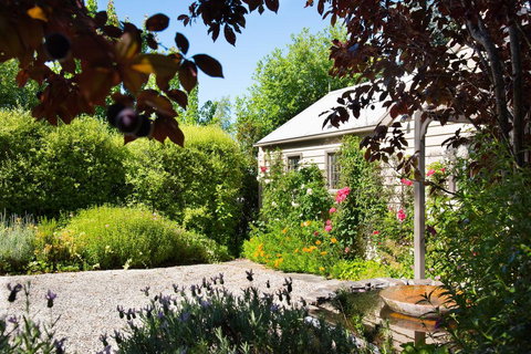 Argus Hill Cottage - New Castle Holiday 1