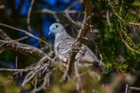 Ash's Holiday Units - New Castle Holiday 2