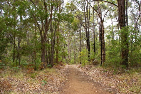 Ashleigh - New Castle Holiday 2