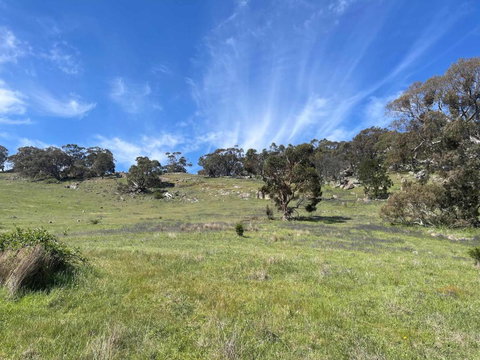 Moonrise Hill - New Castle Holiday 2