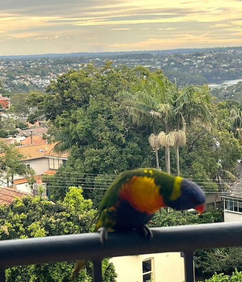 Mosman Views, 2bed, Parking, 15min Walk To Beach - New Castle Holiday 1