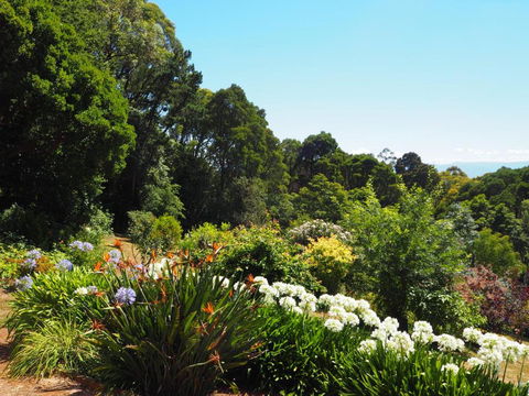 Murrindindi - New Castle Holiday 0