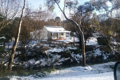 Old Oak Tree Cottage - New Castle Holiday 1