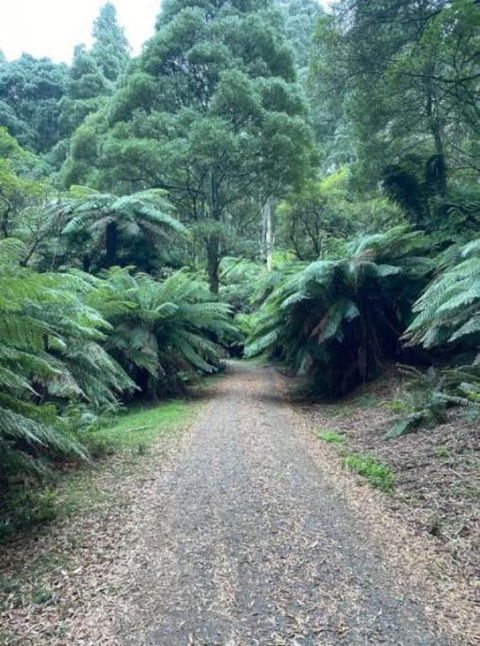 Olinda Enchanted Tower Spa Gas Log Fire And Netflix - New Castle Holiday 1