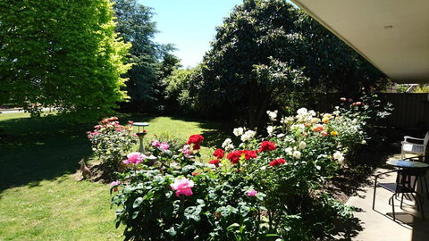 Opal Motel - New Castle Holiday 2