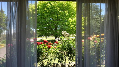 Opal Motel - New Castle Holiday 1