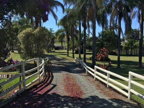 Palms Oasis Motel - New Castle Holiday 3