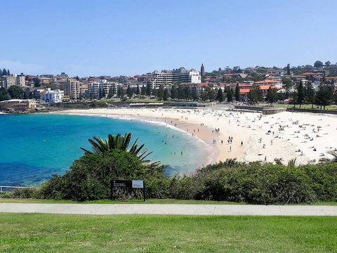 Penthouse Apartment Ocean Views - New Castle Holiday 2