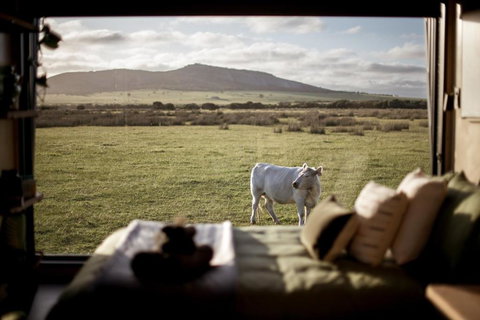 Peter The Tiny Cabin In Esperance - New Castle Holiday 0