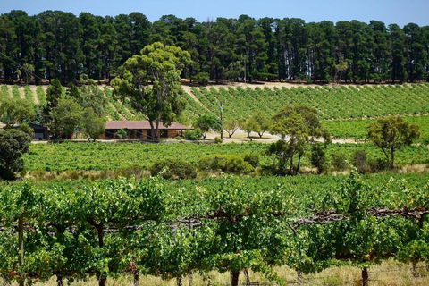 Picturesque Vineyard Farmhouse Nestled On 40-Acres - New Castle Holiday 0